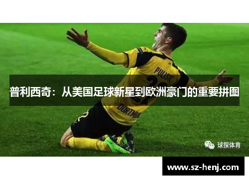 普利西奇：从美国足球新星到欧洲豪门的重要拼图