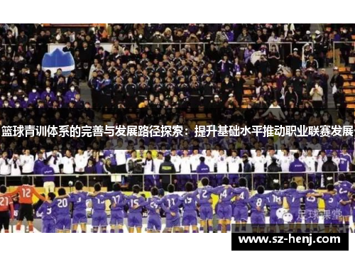 篮球青训体系的完善与发展路径探索：提升基础水平推动职业联赛发展