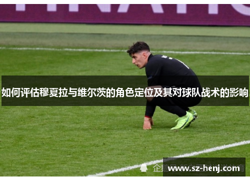 如何评估穆夏拉与维尔茨的角色定位及其对球队战术的影响
